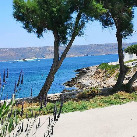 Apartament Sea Satin Sounio Sunion Zewnętrze zdjęcie